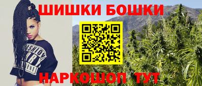 крисы Сланцы
