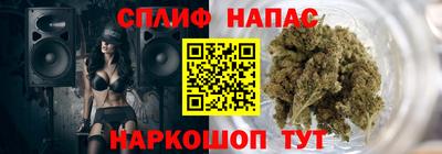 мдпв Славгород