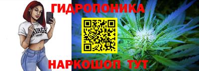 крисы Сланцы