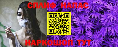 мдпв Славгород