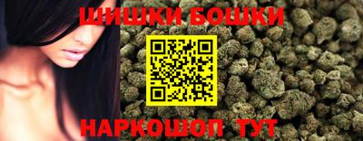 крисы Сланцы