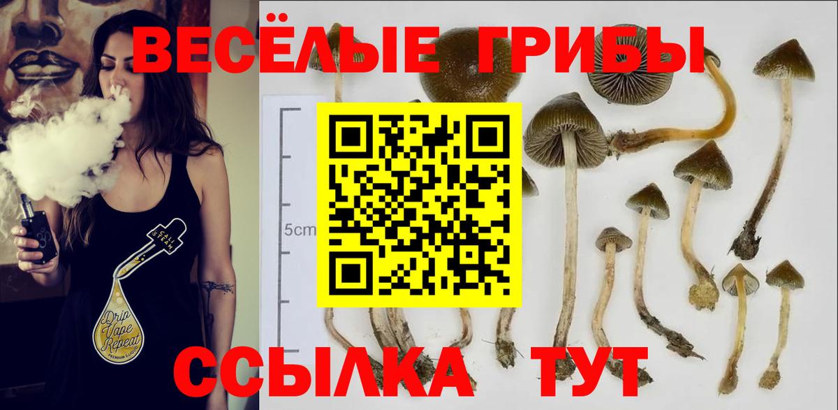 Нягань  наркота  Псилоцибиновые грибы Magic Shrooms  Вход с VPN  Псилоцибиновые грибы MAGIC MUSHROOMS 